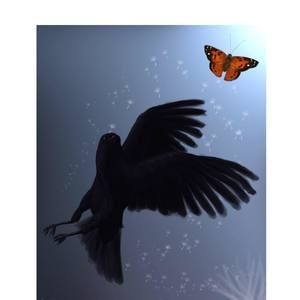 Meet your Posher, Aisha